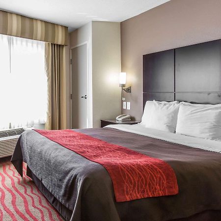 Comfort Inn Los Angeles Near Hollywood Kültér fotó